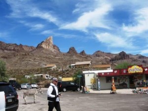 Oatman AZ